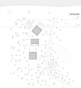 Inplantingsplan